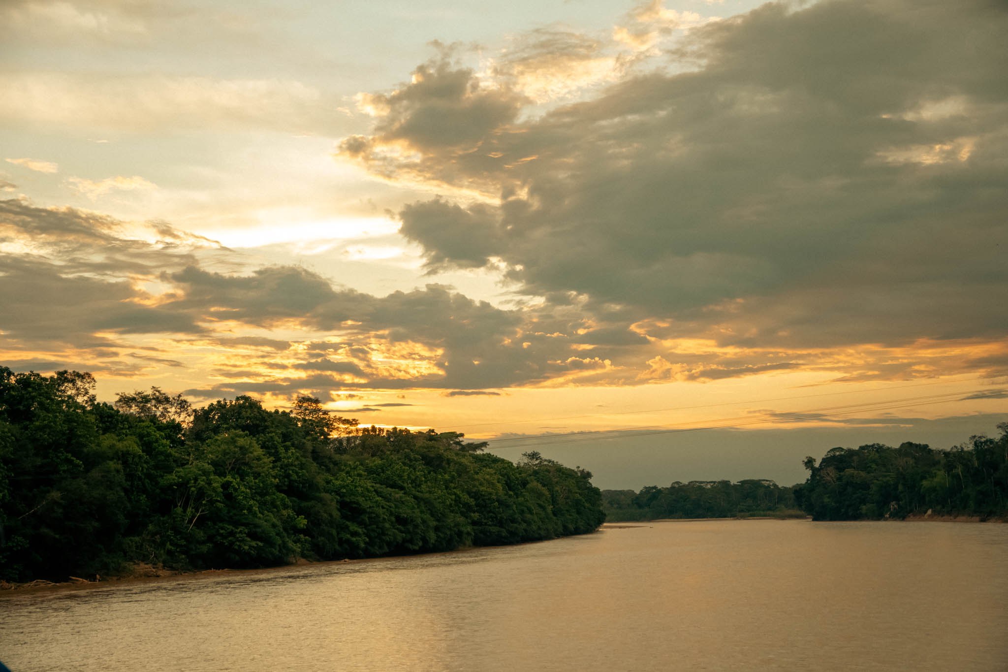Protecting the Amazon Rainforest