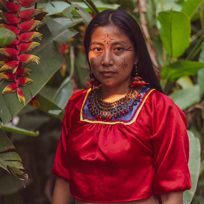 Protecting the Amazon Rainforest