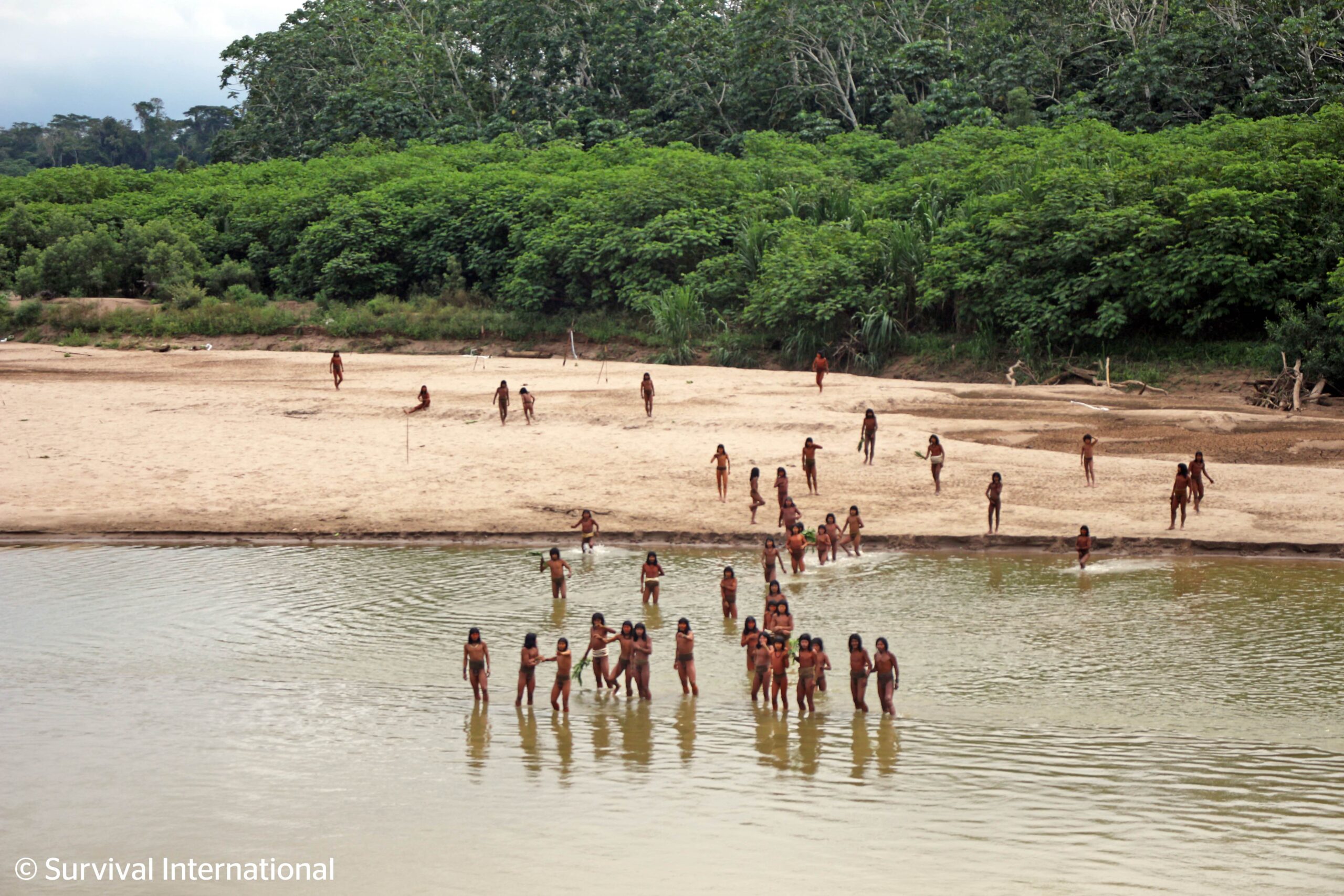 The Right to Exist: Indigenous Reserves for Uncontacted Peoples