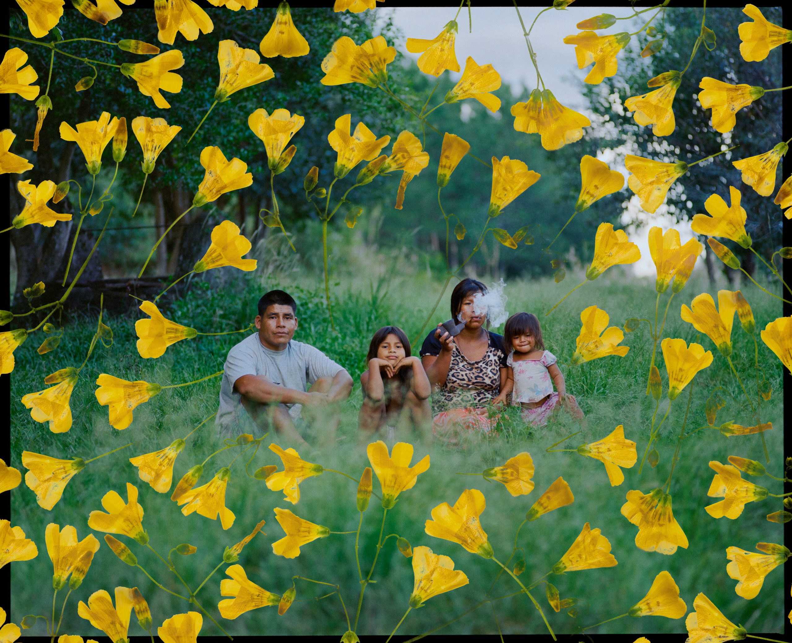 Photograph intervened with scanned yellow clover flowers. Portrait of Hilario Castillo, Mburuvicha (political leader) of the Mbyá Guaraní community Tekoa El Chapá, with his partner and two daughters. Home to approximately 60 families, the community preserves collective spaces, though contemporary life has shifted toward individual dwellings, where each family maintains its own home and plot within the shared territory. Photo: Mauricio Holc