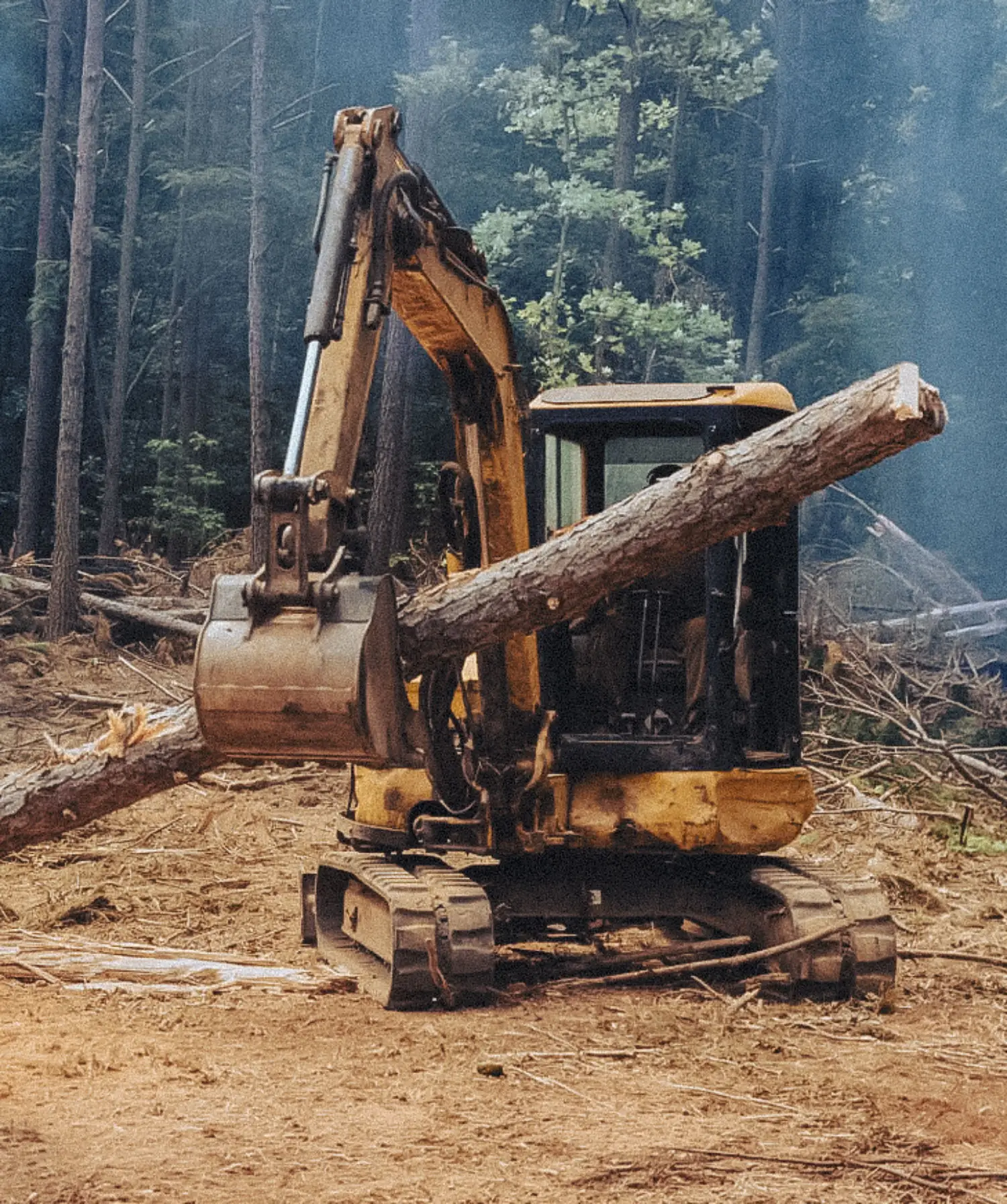 Who needs nature?: The peruvian Anti-forest law