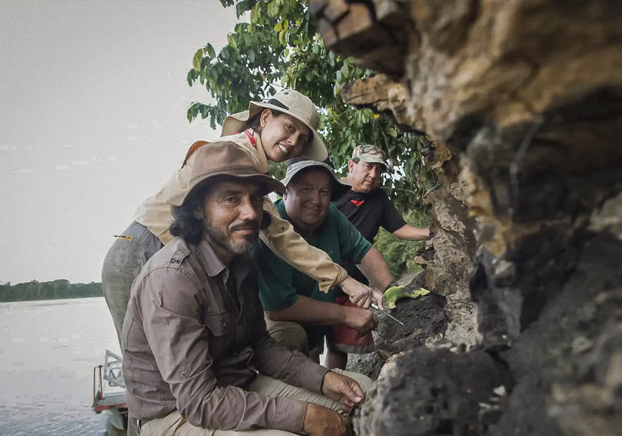 Paleontologists Rodolfo Salas-Gismondi, Julia Tejada-Lara, John Flynn, and guide Michel Valles during the 2018 expedition to the Napo River. Credit: Aldo Benites-Palomino.