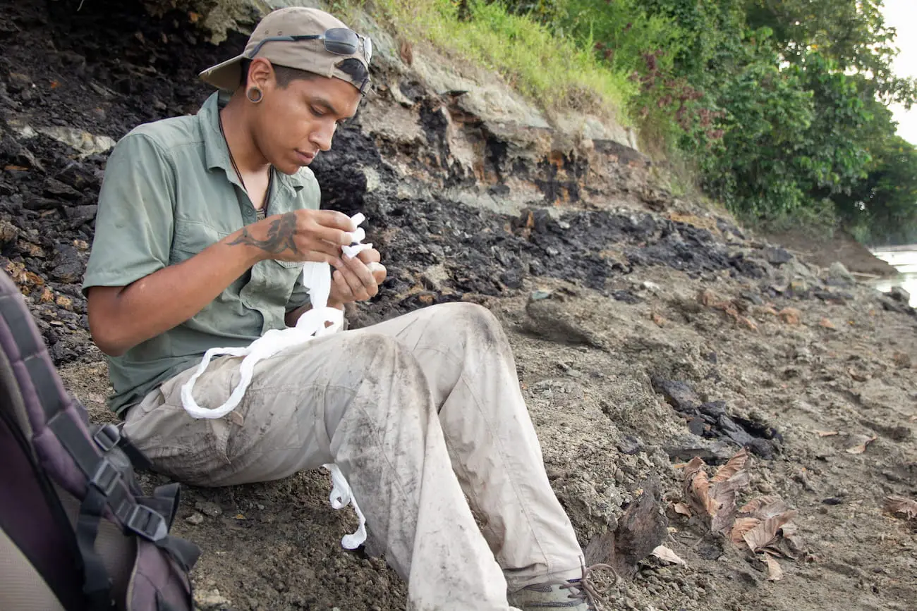 Paleontologist Aldo Benites-Palomino (Department of Palaeontology, University of Zurich) processing samples during the 2018 expedition to the Napo River. Credit: Rodolfo Salas-Gismondi.