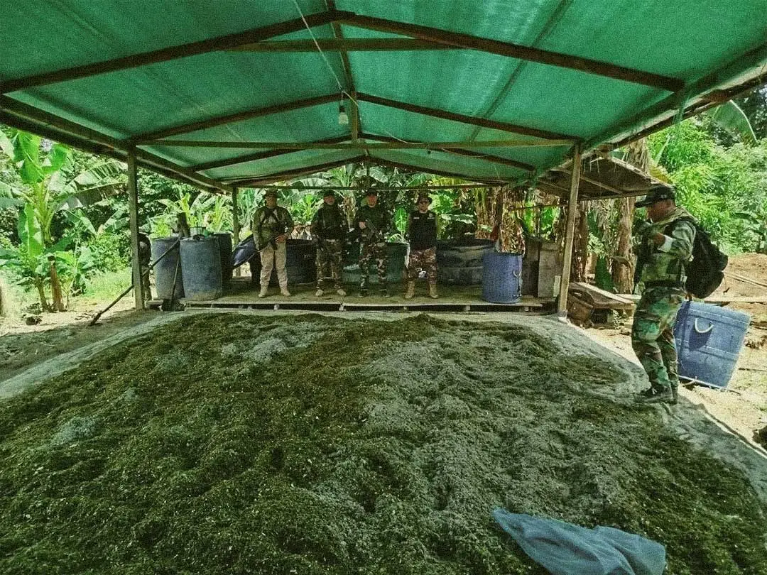 Military operation against drug trafficking in the Peruvian Amazon (Iquitos). Photo: Andina, 2025.