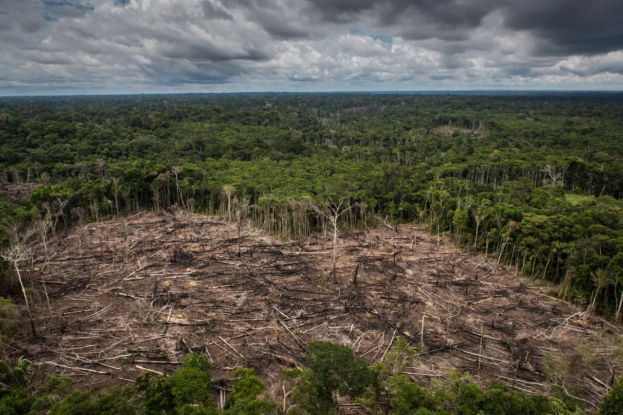More than 144,000 hectares of primary forest were deforested in national territory. Source: Andean Amazon Monitoring Project (MAAP, 2013) Photo: Diego Pérez /SPDA