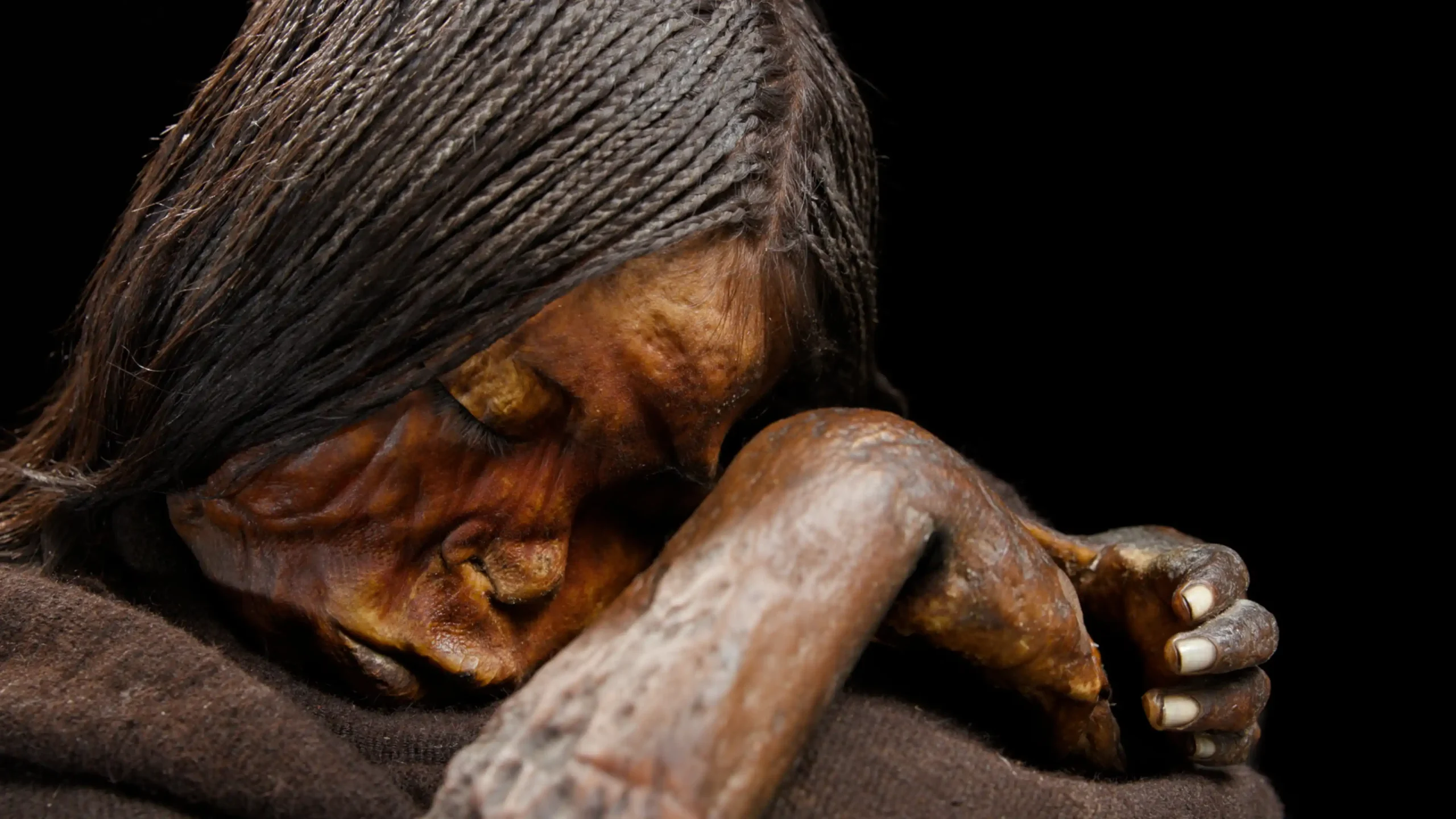 The braids of the Niño del Cerro El Plomo, found in Chile, show that this sacred practice extended throughout the entire Inca empire. Photo: Museo Nacional de Historia Natural.