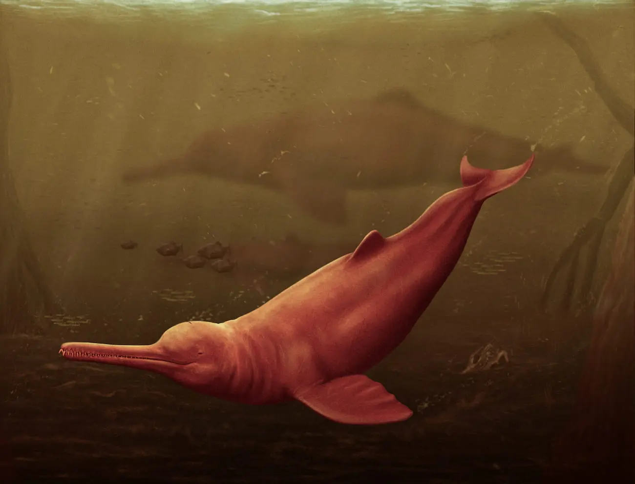 Artistic reconstruction of Pebanista yacuruna in the murky waters of the proto-Amazon in present-day Peru. Credit: Jaime Bran.