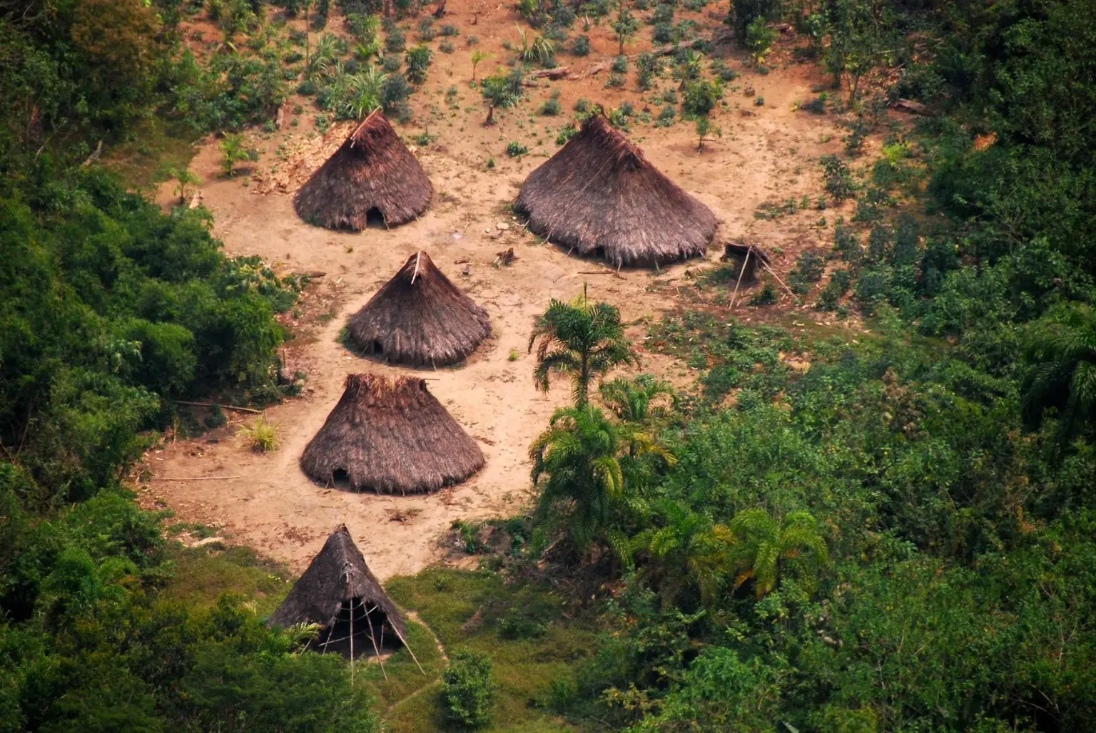 Malokas (communal houses) of uncontacted indigenous peoples in Peru. Photo: EFE/INDEPA