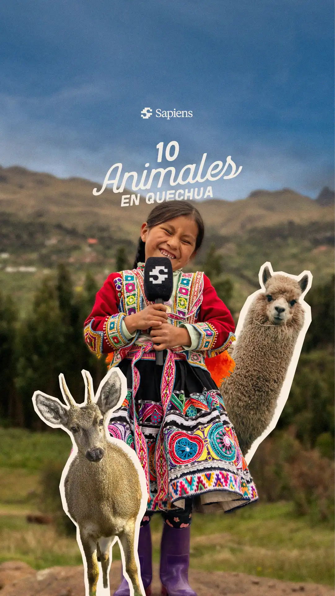 PORTADA ANIMALES