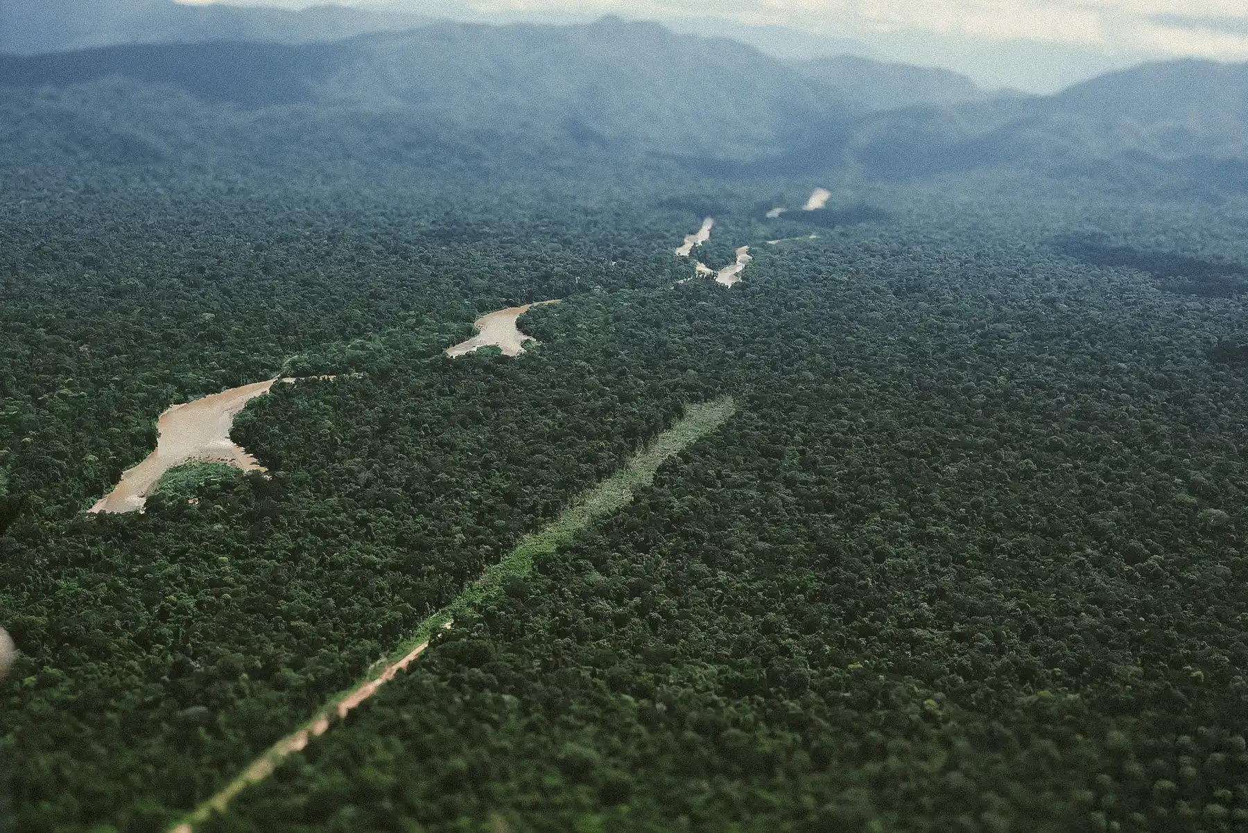 A clandestine airstrip cuts through the dense jungle in the Kakataibo Indigenous Reserve. Photo: Aidesep.