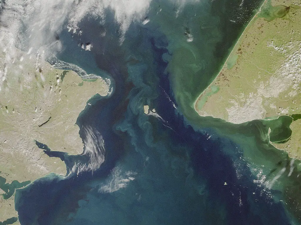 Present-day satellite view of the Bering Strait, showing the area that formed the Beringia land bridge. Photo: NASA Earth Observatory