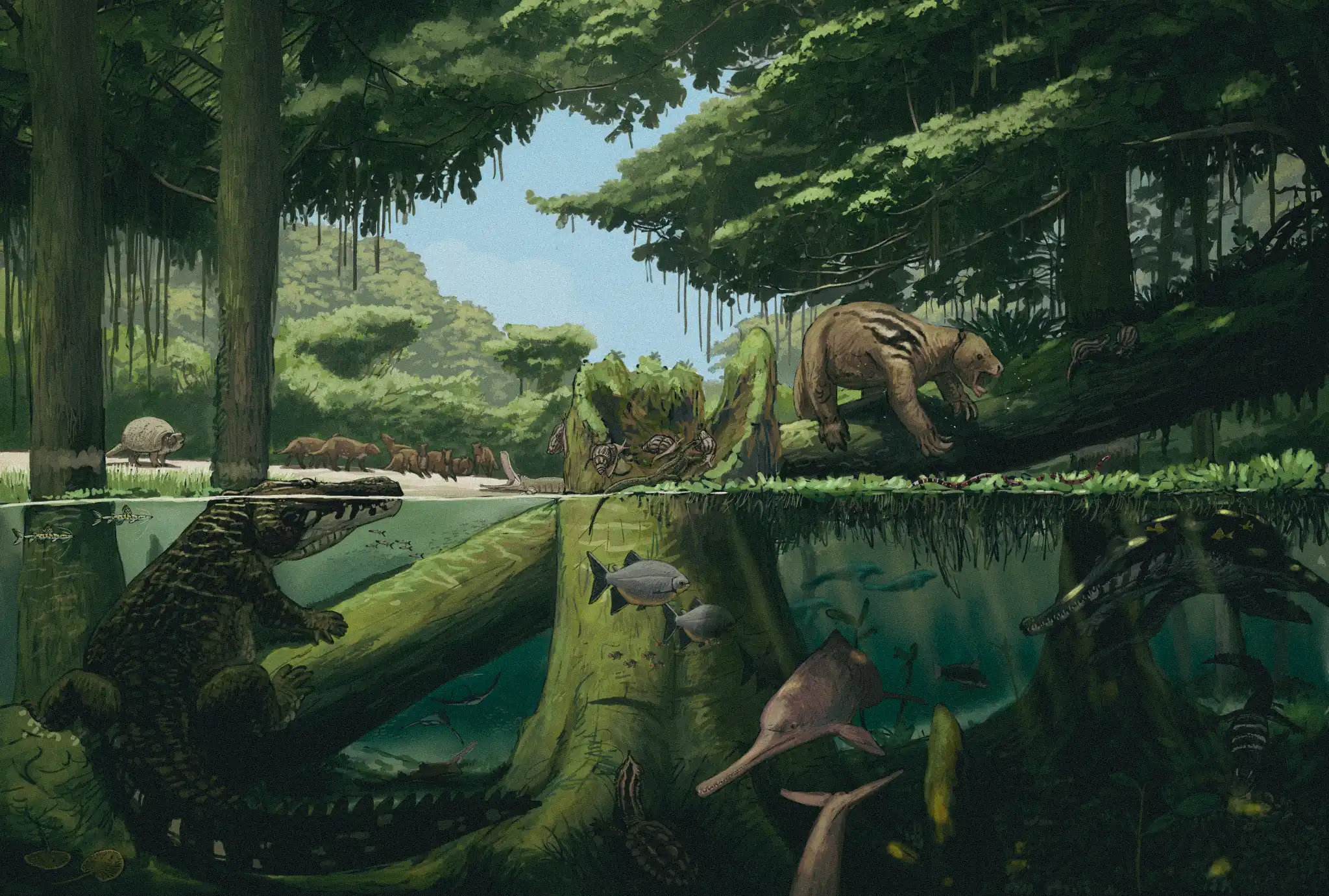 Reconstruction of the Pebas System during the Miocene, approximately 13 million years ago, showing terrestrial mammals inhabiting the wetlands of what is now the Peruvian Amazon. Illustration: Joschua Knüppe.