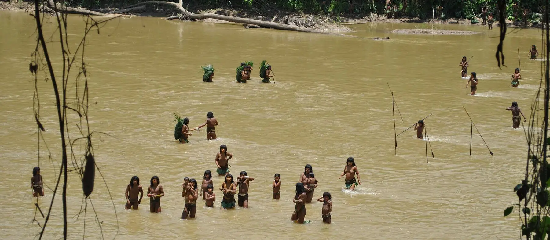 On occasion, the Mashco Piro cross the river to a nearby Yine community. Photo: Survival International
