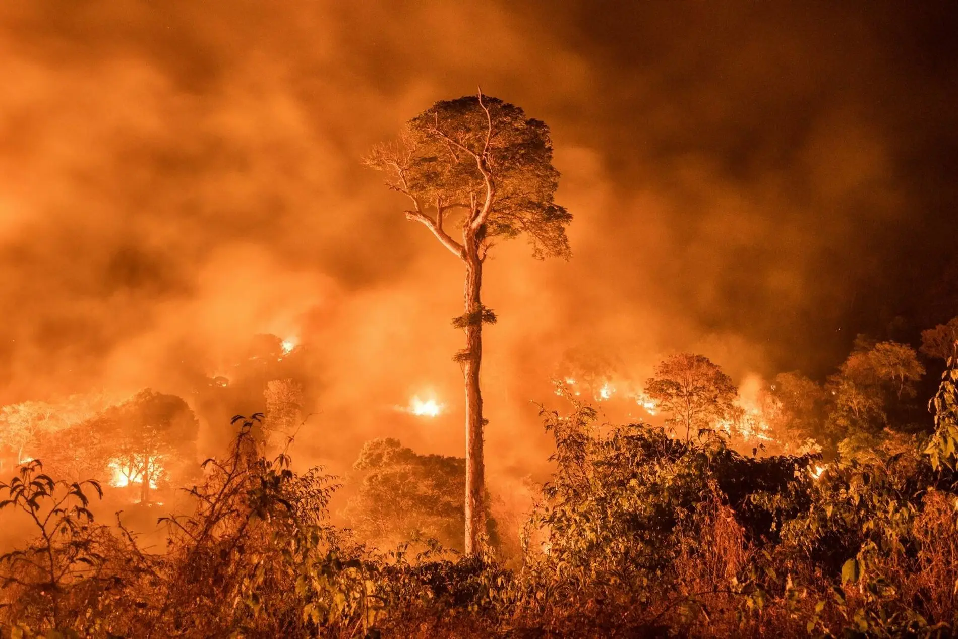 Forest fire in the Amazon, a current consequence of deforestation that continues to advance under the logic of 