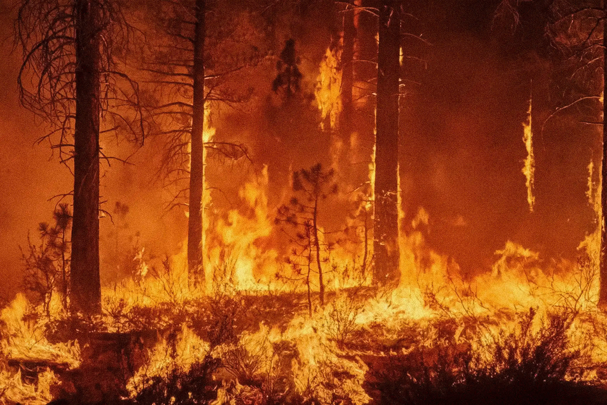 Forest fires in Peru increased by 81% in 2024. Photo: Lynsey Addario.