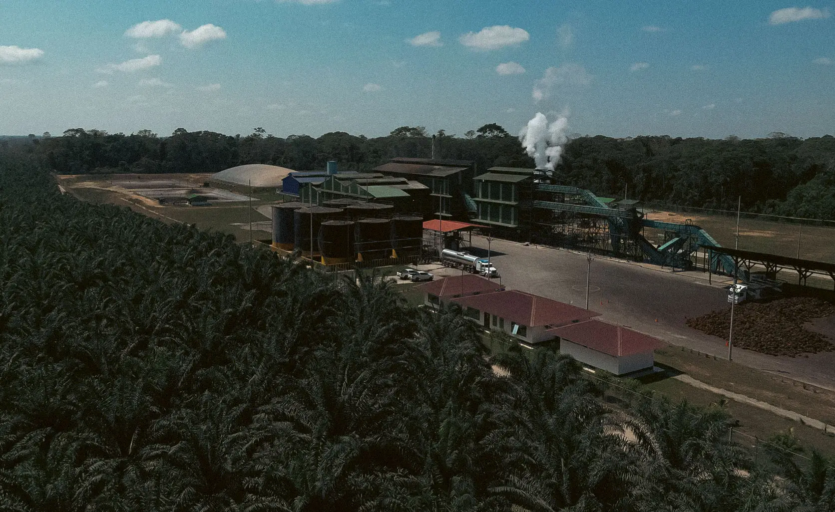 Palm oil processing plant of Grupo Ocho Sur, in the Peruvian Amazon. Photo: Ocho Sur