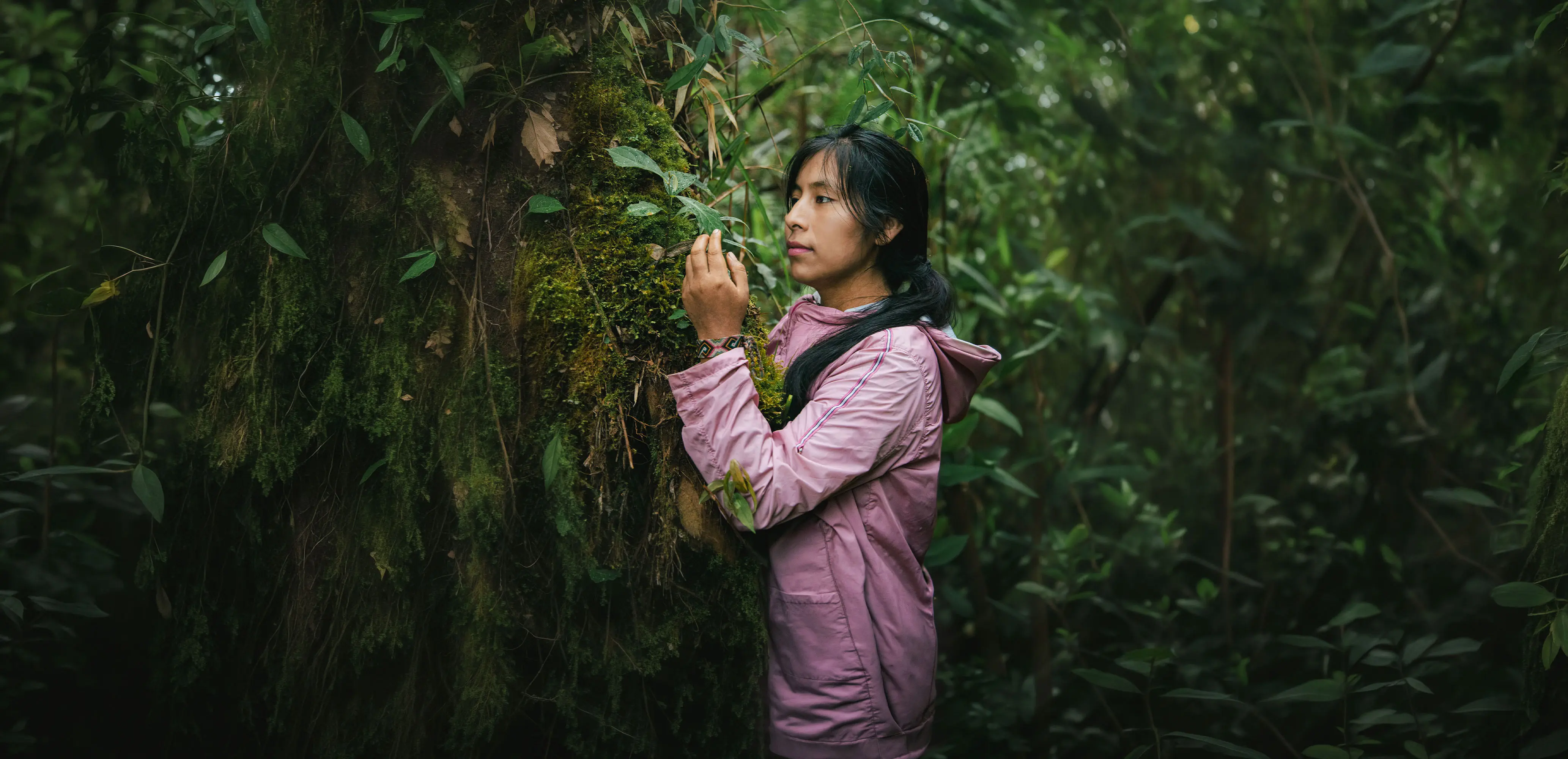 The fascinating power of beetles in the work of a Quechua biologist