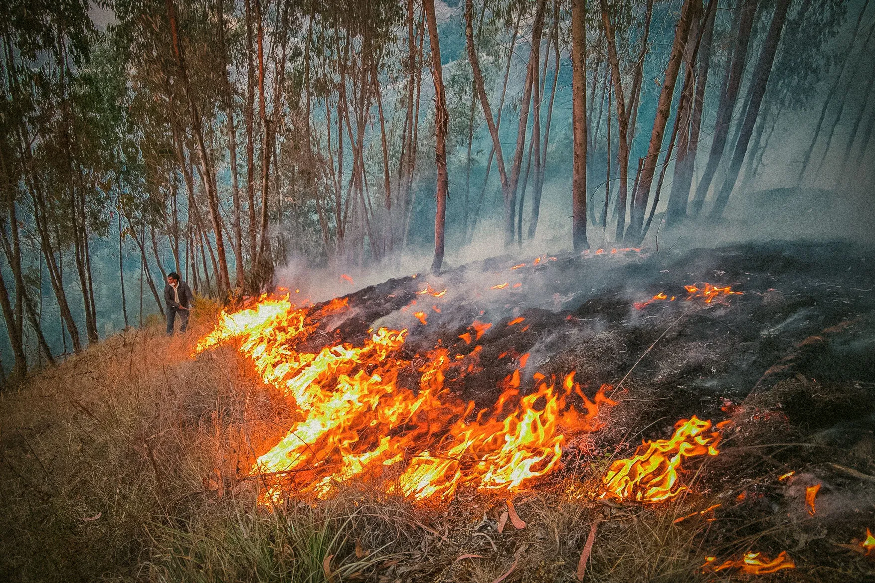 Firefighters brought a forest fire under control in San Jerónimo (Cusco), a district repeatedly hit by such incidents. Photo: Municipality of San Jerónimo.